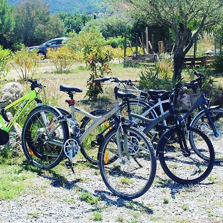 Daire Domaine Pedra Llampada *