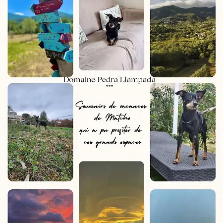 Domaine Pedra Llampada Daire Villelongue-dels-Monts