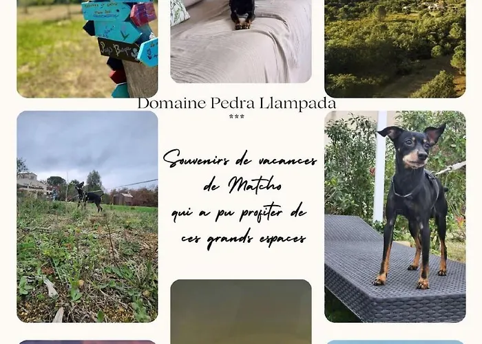 Domaine Pedra Llampada Διαμέρισμα Villelongue-dels-Monts