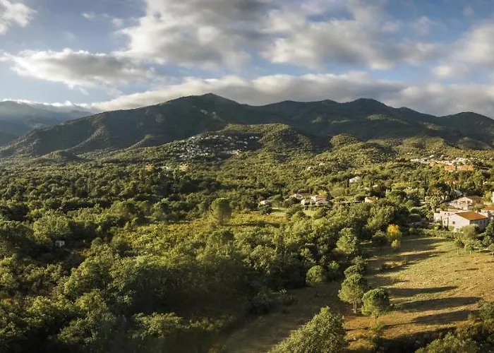 Domaine Pedra Llampada